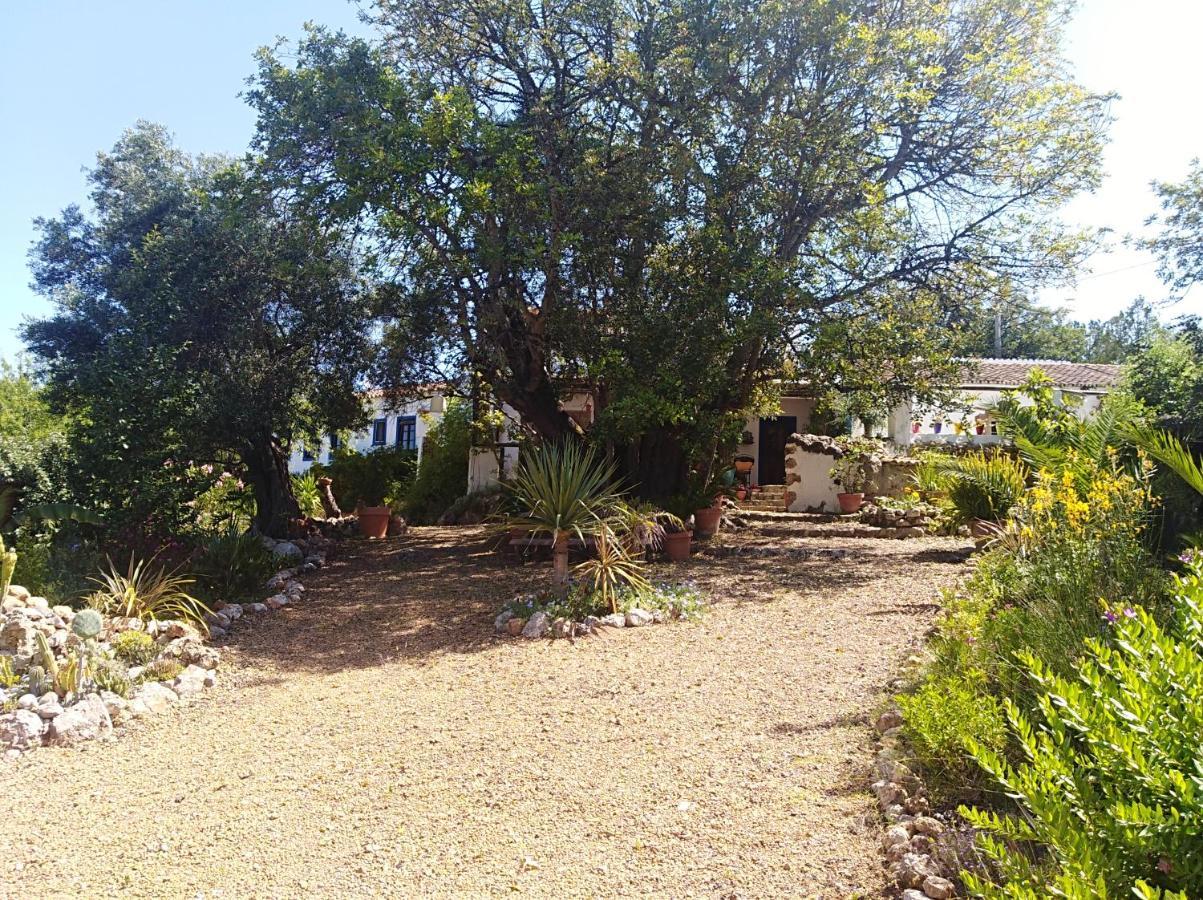 Bed and Breakfast Quinta Dos Valados Querenca Zewnętrze zdjęcie